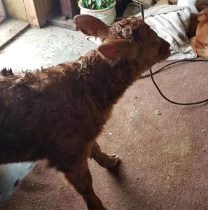 Meet your Posher, Charla